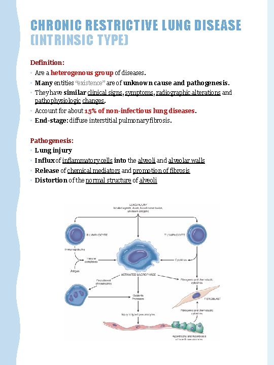 CHRONIC RESTRICTIVE LUNG DISEASE (INTRINSIC TYPE) Definition: • Are a heterogenous group of diseases.