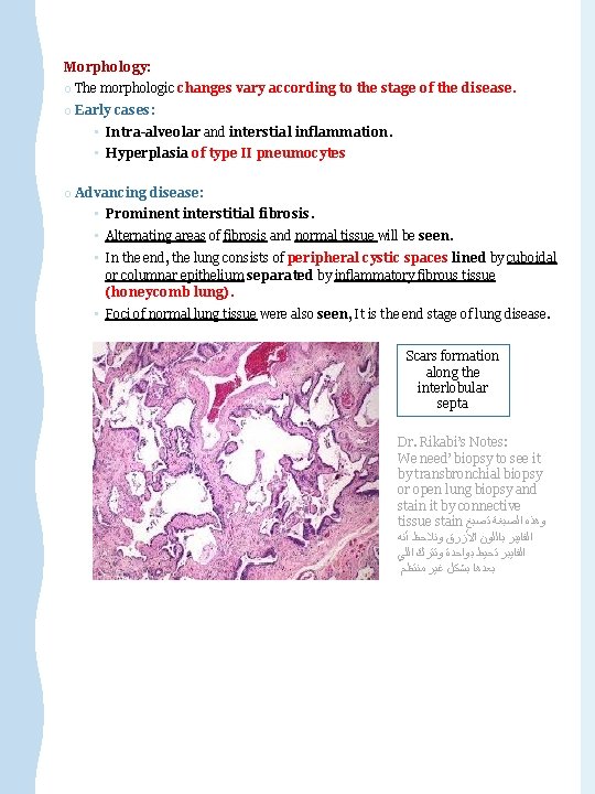 Morphology: o The morphologic changes vary according to the stage of the disease. o