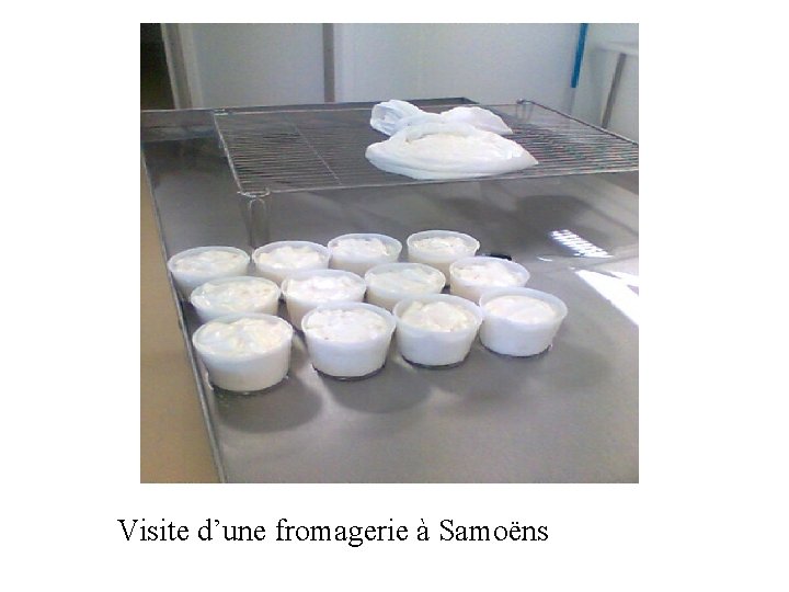 Visite d’une fromagerie à Samoëns 