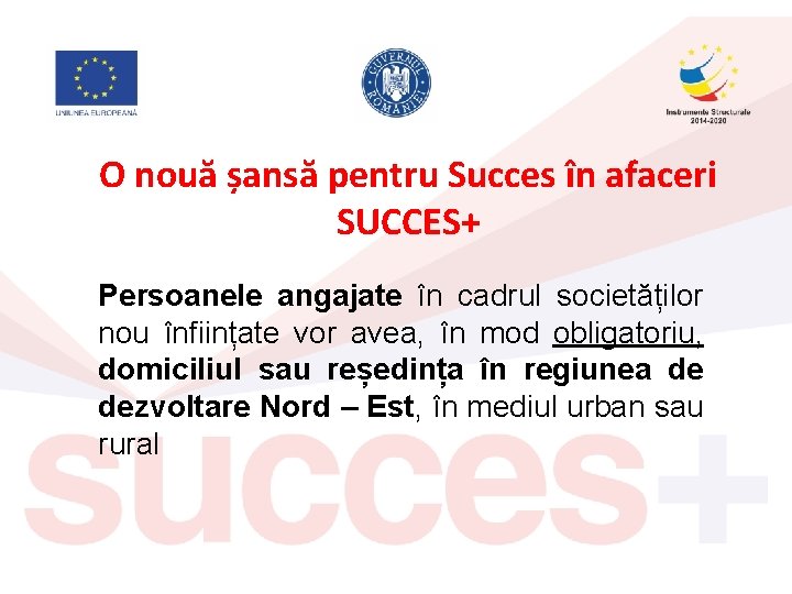 O nouă șansă pentru Succes în afaceri SUCCES+ Persoanele angajate în cadrul societăților nou