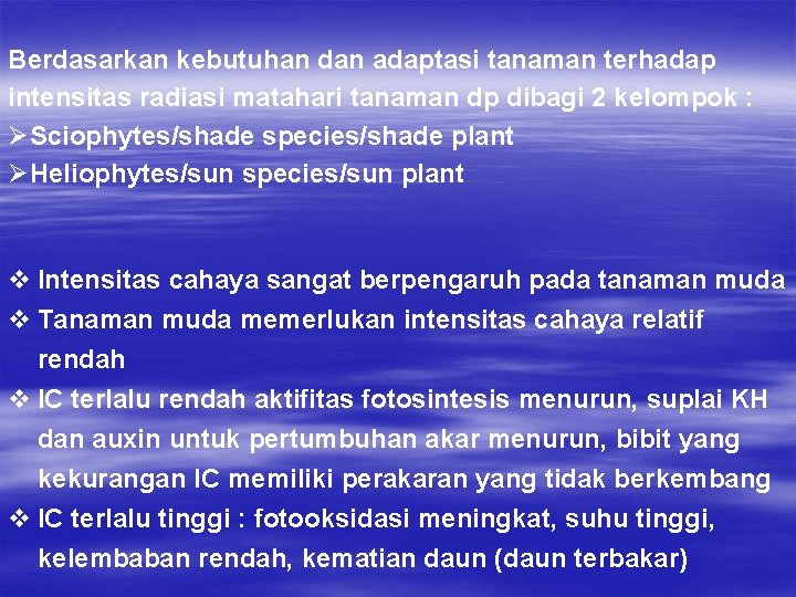 Berdasarkan kebutuhan dan adaptasi tanaman terhadap intensitas radiasi matahari tanaman dp dibagi 2 kelompok