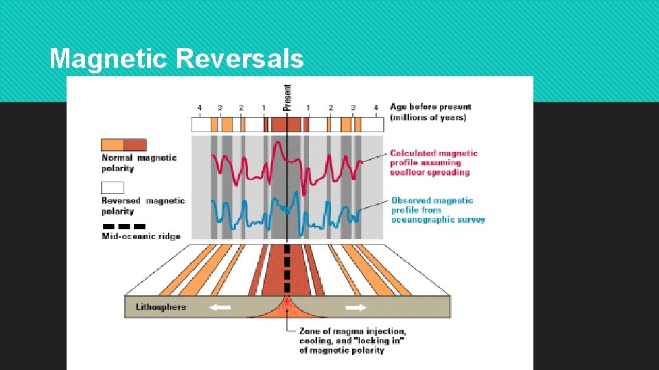 Magnetic Reversals 