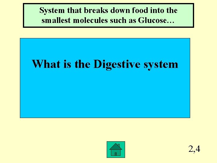 System that breaks down food into the smallest molecules such as Glucose… What is