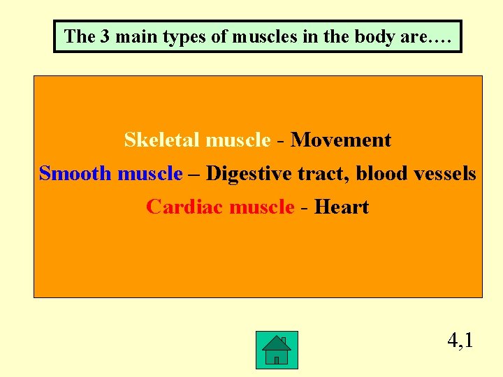 The 3 main types of muscles in the body are…. Skeletal muscle - Movement