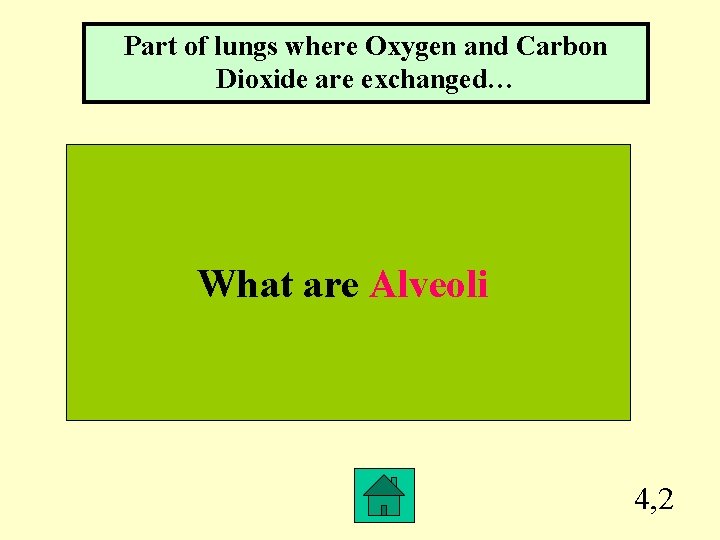 Part of lungs where Oxygen and Carbon Dioxide are exchanged… What are Alveoli 4,