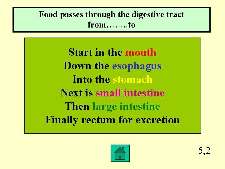 Food passes through the digestive tract from……. . to Start in the mouth Down