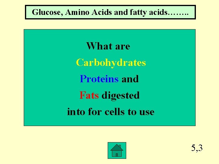 Glucose, Amino Acids and fatty acids……. . What are Carbohydrates Proteins and Fats digested