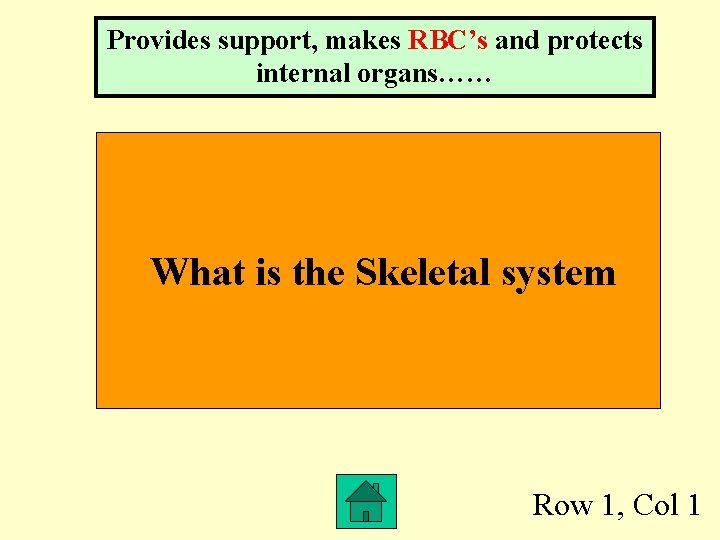 Provides support, makes RBC’s and protects internal organs…… What is the Skeletal system Row