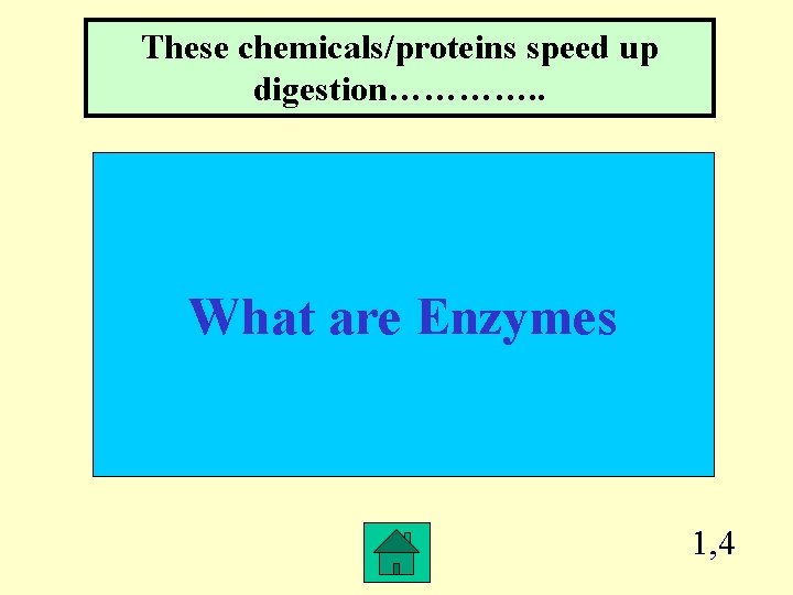 These chemicals/proteins speed up digestion…………. . What are Enzymes 1, 4 