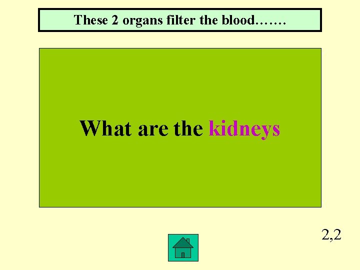 These 2 organs filter the blood……. What are the kidneys 2, 2 