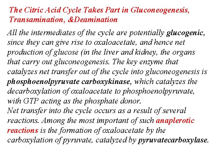 The Citric Acid Cycle Takes Part in Gluconeogenesis, Transamination, &Deamination All the intermediates of