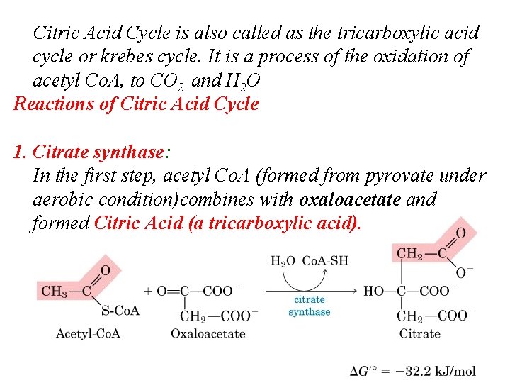 Citric Acid Cycle is also called as the tricarboxylic acid cycle or krebes cycle.