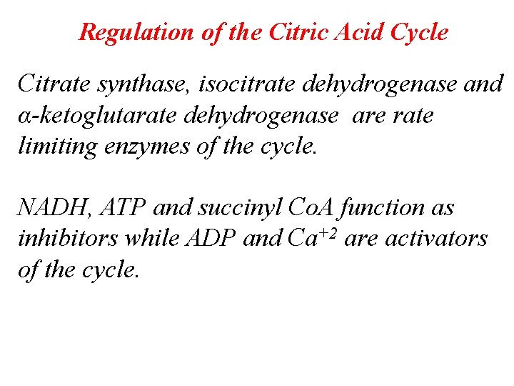 Regulation of the Citric Acid Cycle Citrate synthase, isocitrate dehydrogenase and α-ketoglutarate dehydrogenase are