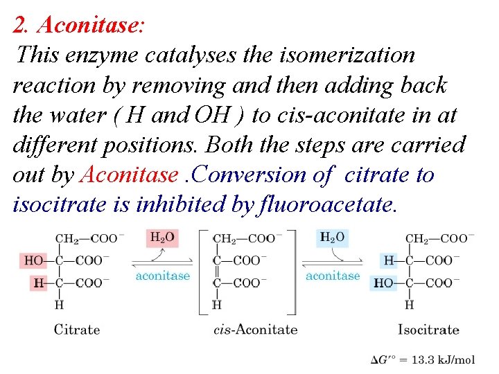 2. Aconitase: This enzyme catalyses the isomerization reaction by removing and then adding back