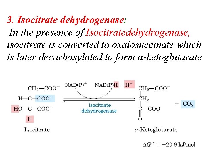 3. Isocitrate dehydrogenase: In the presence of Isocitratedehydrogenase, isocitrate is converted to oxalosuccinate which