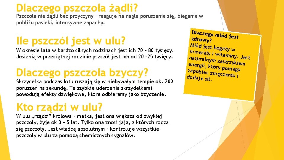 Dlaczego pszczoła żądli? Pszczoła nie żądli bez przyczyny – reaguje na nagłe poruszanie się,