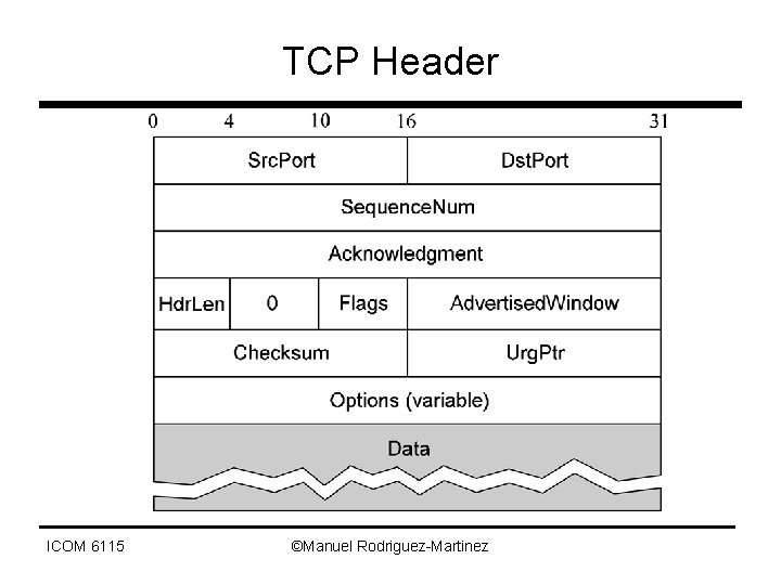 TCP Header ICOM 6115 ©Manuel Rodriguez-Martinez 