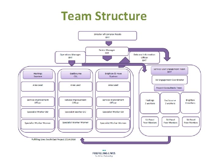 Team Structure 