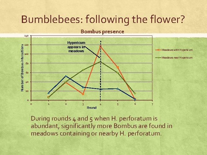 Bumblebees: following the flower? Bombus presence Number of Bombus interactions 140 Hypericum appears in