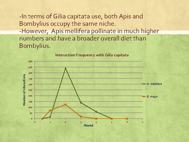 -In terms of Gilia capitata use, both Apis and Bombylius occupy the same niche.