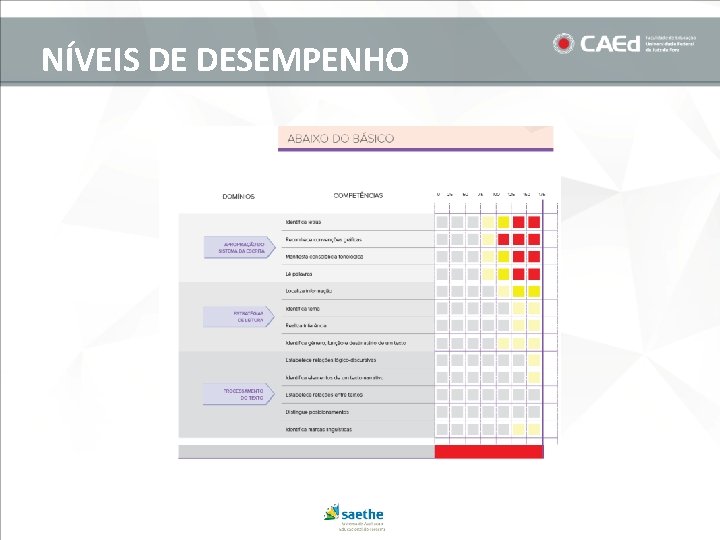 NÍVEIS DE DESEMPENHO 