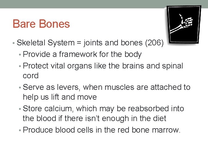 Bare Bones • Skeletal System = joints and bones (206) • Provide a framework
