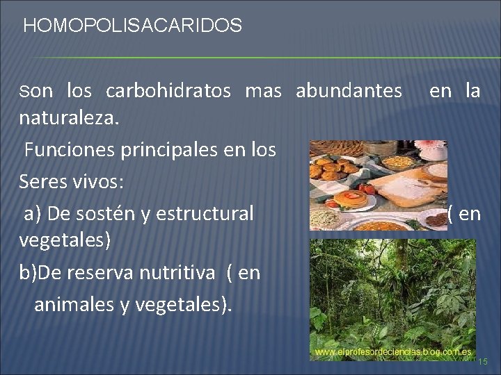 HOMOPOLISACARIDOS Son los carbohidratos mas abundantes naturaleza. Funciones principales en los Seres vivos: a)