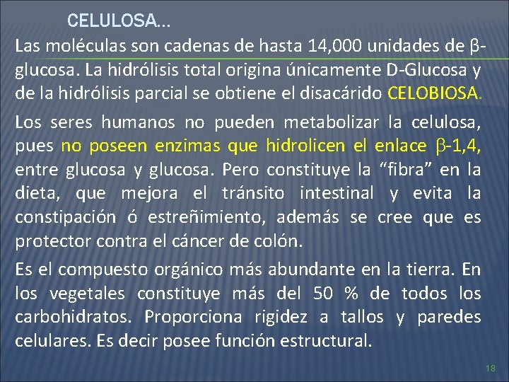 CELULOSA… Las moléculas son cadenas de hasta 14, 000 unidades de βglucosa. La hidrólisis