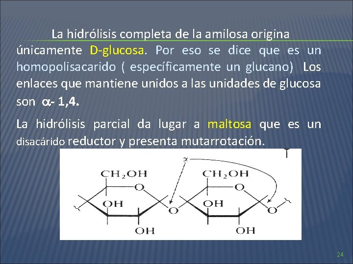 La hidrólisis completa de la amilosa origina únicamente D-glucosa. Por eso se dice que