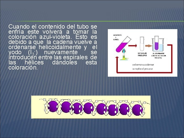 Cuando el contenido del tubo se enfría este volverá a tomar la coloración azul-violeta.