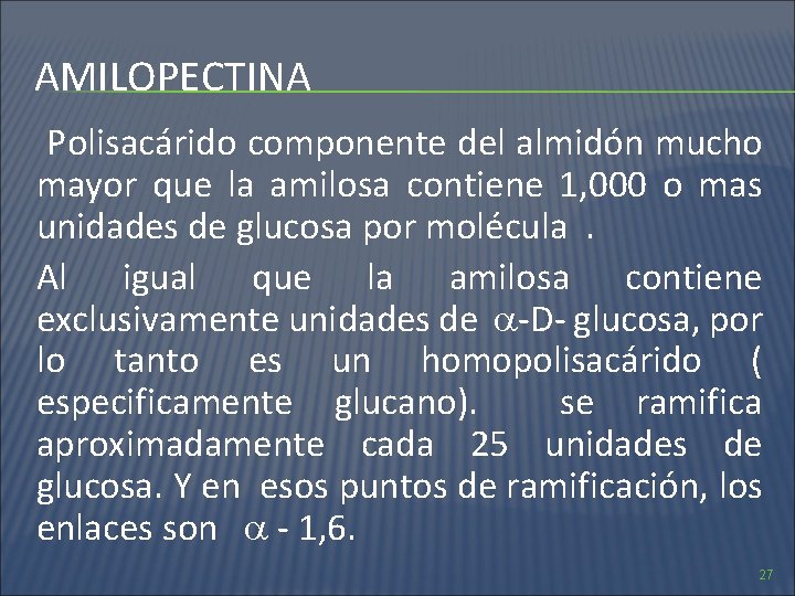 AMILOPECTINA Polisacárido componente del almidón mucho mayor que la amilosa contiene 1, 000 o