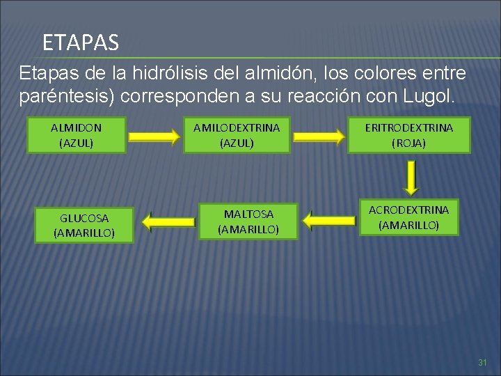 ETAPAS Etapas de la hidrólisis del almidón, los colores entre paréntesis) corresponden a su