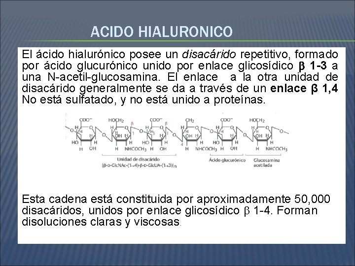 ACIDO HIALURONICO El ácido hialurónico posee un disacárido repetitivo, formado por ácido glucurónico unido