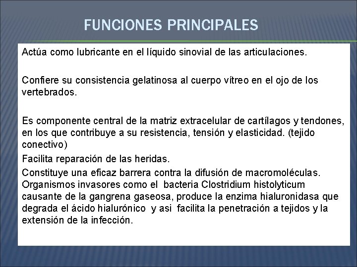 FUNCIONES PRINCIPALES Actúa como lubricante en el líquido sinovial de las articulaciones. Confiere su