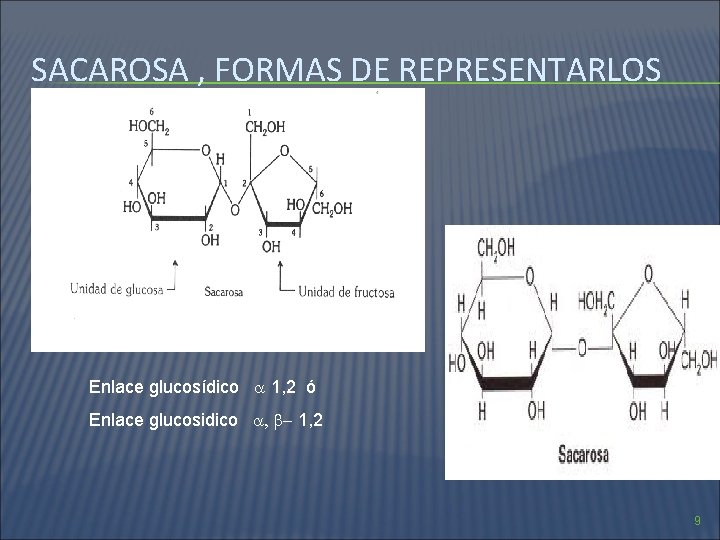 SACAROSA , FORMAS DE REPRESENTARLOS Enlace glucosídico 1, 2 ó Enlace glucosidico , -