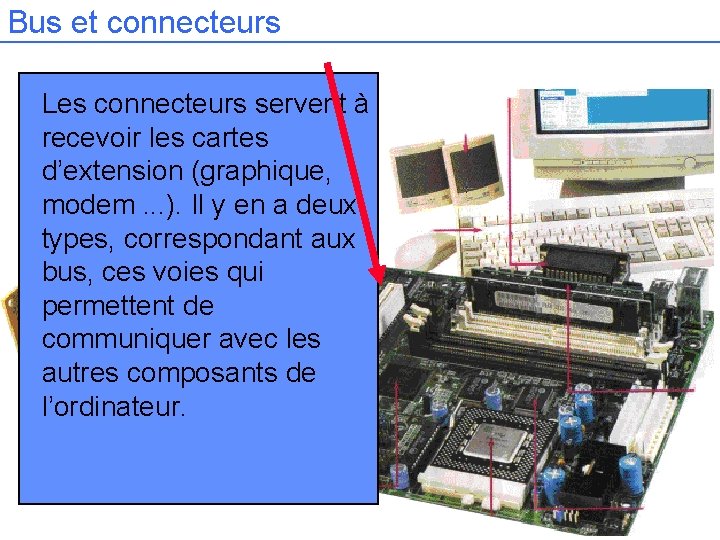 Bus et connecteurs Les connecteurs servent à recevoir les cartes d’extension (graphique, modem. .