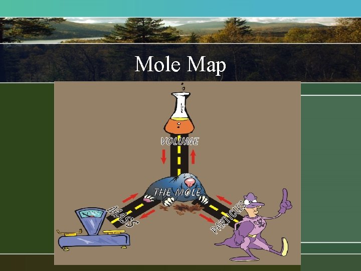 Mole Map Mole Map