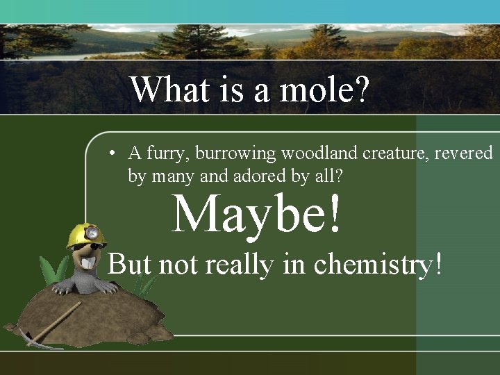 What is a mole? • A furry, burrowing woodland creature, revered by many and What is a mole? • A furry, burrowing woodland creature, revered by many and
