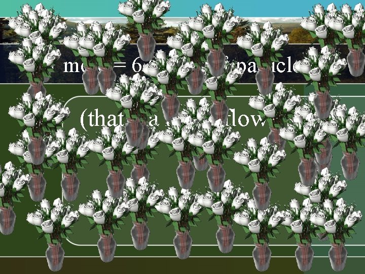 1 mole = 6. 02 x 1023 particles! (that’s a lot of flowers!) 1 mole = 6. 02 x 1023 particles! (that’s a lot of flowers!)
