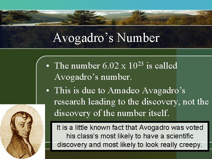 Avogadro’s Number • The number 6. 02 x 1023 is called Avogadro’s number. • Avogadro’s Number • The number 6. 02 x 1023 is called Avogadro’s number. •