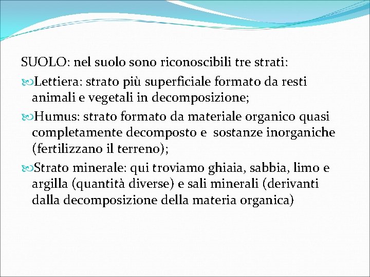SUOLO: nel suolo sono riconoscibili tre strati: Lettiera: strato più superficiale formato da resti