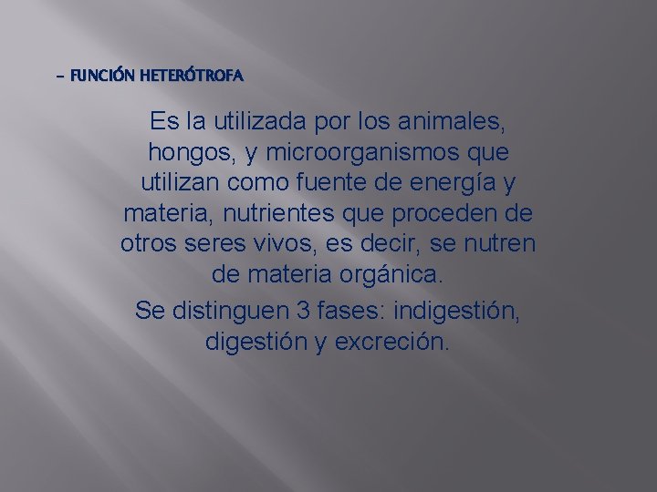 - FUNCIÓN HETERÓTROFA Es la utilizada por los animales, hongos, y microorganismos que utilizan