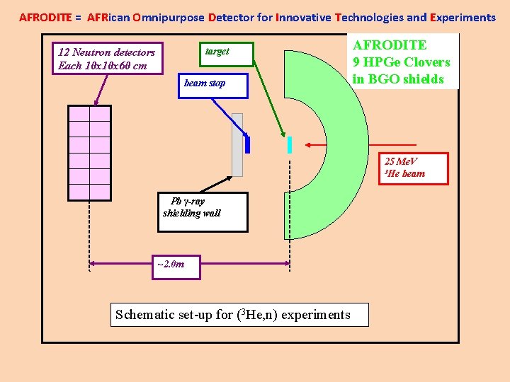 AFRODITE = AFRican Omnipurpose Detector for Innovative Technologies and Experiments target 12 Neutron detectors