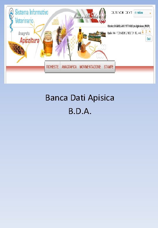 Banca Dati Apisica B. D. A. 
