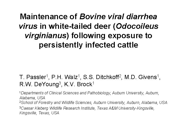Maintenance of Bovine viral diarrhea virus in white-tailed deer (Odocoileus virginianus) following exposure to