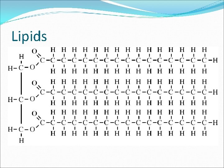 Lipids 
