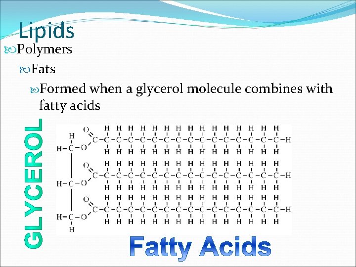 Lipids Polymers Fats Formed when a glycerol molecule combines with fatty acids 