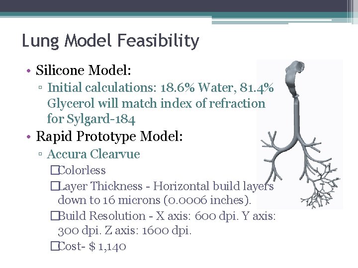 Lung Model Feasibility • Silicone Model: ▫ Initial calculations: 18. 6% Water, 81. 4% Lung Model Feasibility • Silicone Model: ▫ Initial calculations: 18. 6% Water, 81. 4%