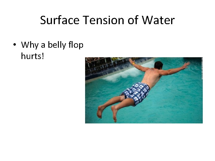 Surface Tension of Water • Why a belly flop hurts! 