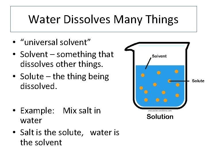 Water Dissolves Many Things • “universal solvent” • Solvent – something that dissolves other